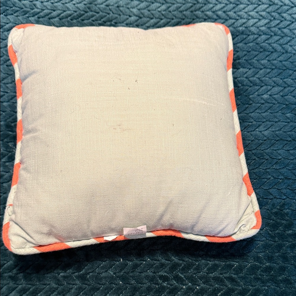 Target Insect Print Pillows - Picture 3 of 5